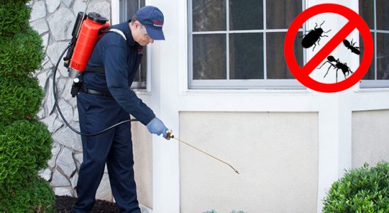 Borçka Böcek ve Haşere İlaçlama böcek ilaçlama ve haşere kontrolü — ilaclama-tr.com